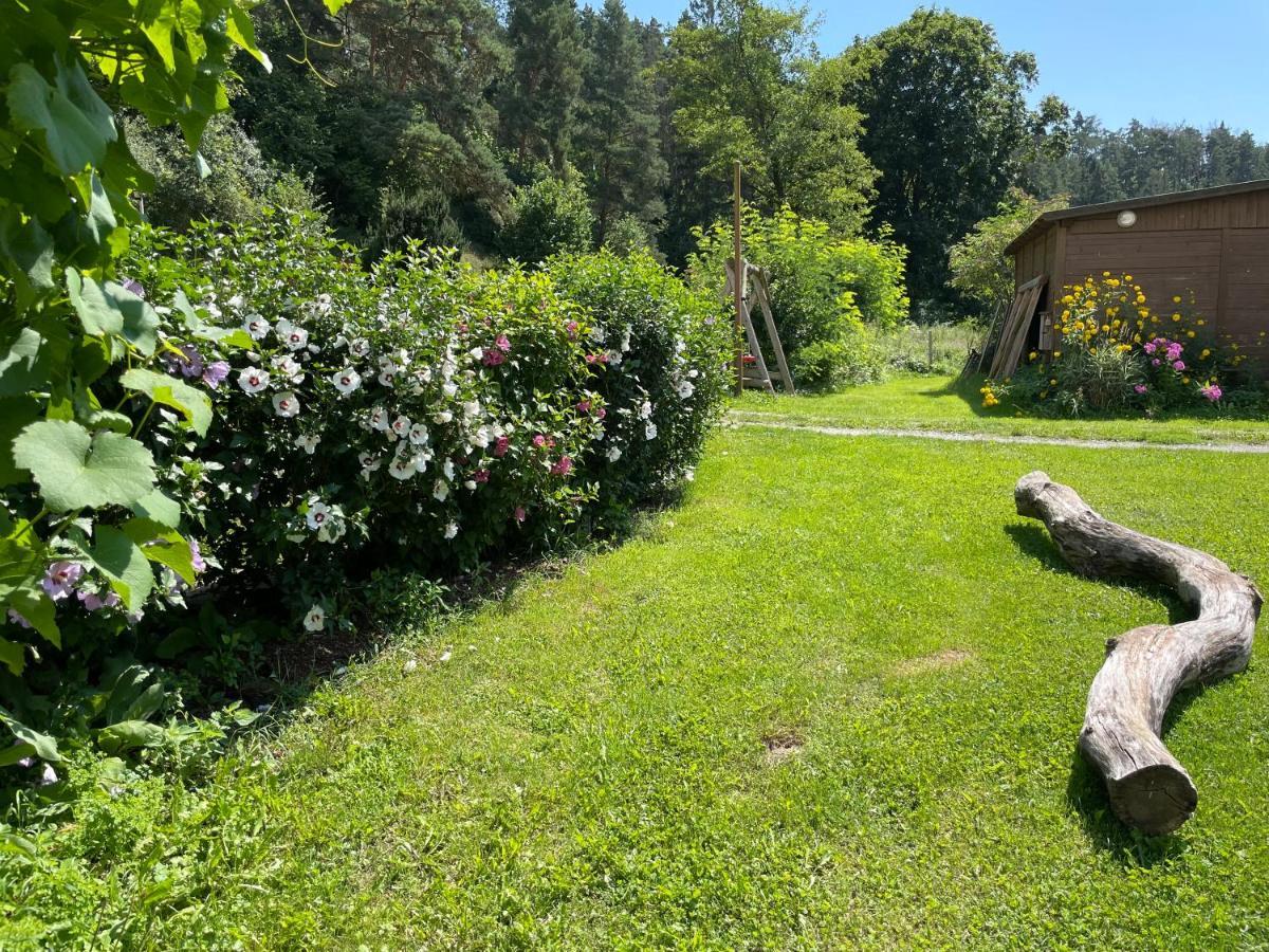 Hotel Trilety Mlyn Police  Zewnętrze zdjęcie